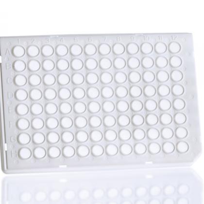 4ti-0955 | 96井半裙式PCR板，罗氏风格|正面