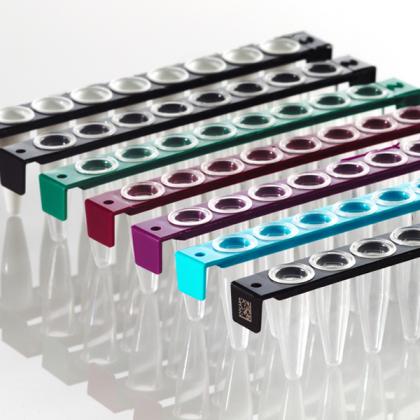 FrameStrip®8 Well PCR管条|组