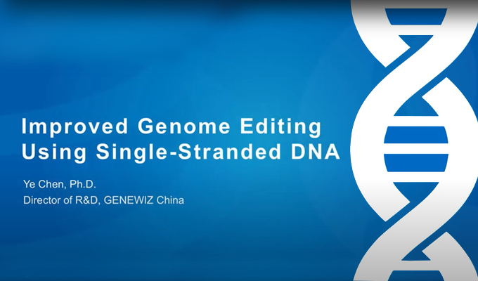使用单链DNA改善基因组编辑